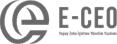 E-CEO